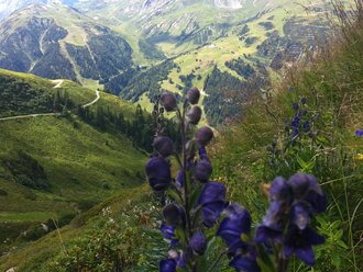 St. Anton im Sommer